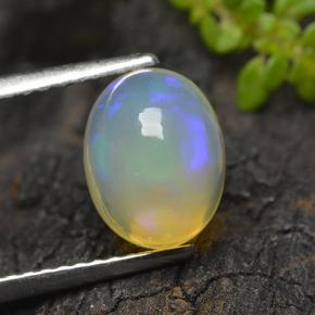 1.7ct Oval Cabochon Multicolor Opal for sale thumb image of 1.7ct Oval Cabochon Multicolor Opal (ID: 498288)