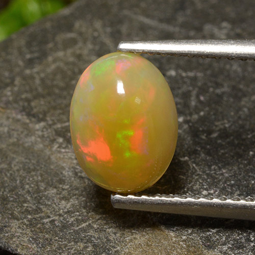 Multicolore Opale Gem - 1.2ct Ovale cabochon (ID: 498849)