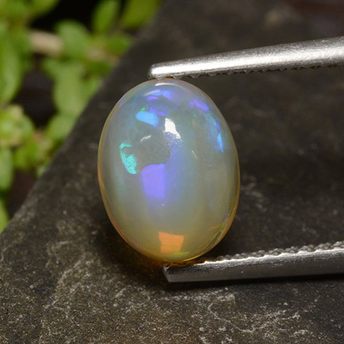 Multicolor Opal Gem - 1.4ct Oval Cabochon (ID: 499017)