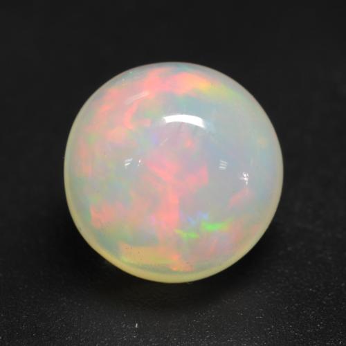 Multicolor Ópalo Gema - 1.5ct Cabujón Redondo (ID: 537801)