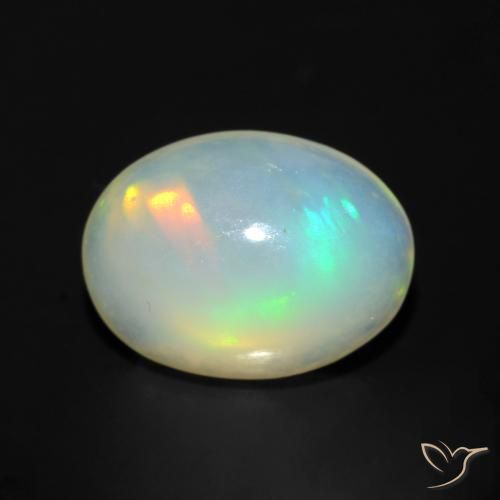 opal squishdoo