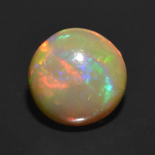 Multicolor Opal Gem - 0.8ct Round Cabochon (ID: 553548)