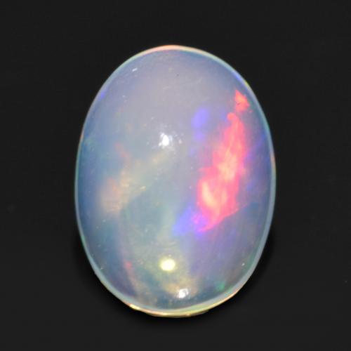 Mehrfarbig Opal Edelstein - 0.8ct Oval Cabochon (ID: 564378)