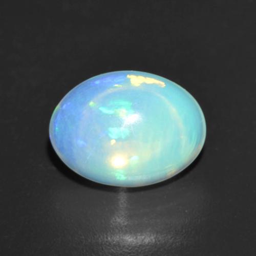 opal squishdoo
