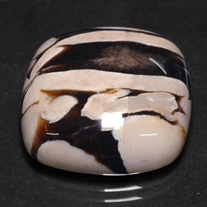 25.88 ct Multicolor Peanut Wood Stone, Natural Peanut Wood in Cushion Cabochon Shape for Sale