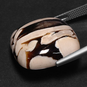 Peanut Wood Gemstone in 21.5 x 20.9 mm Size for Sale, Peanut Wood Stone in Multicolor Color