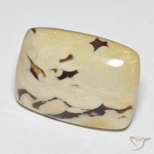 23.14 ct Multicolor Peanut Wood Stone, Natural Peanut Wood in Cushion Cabochon Shape for Sale