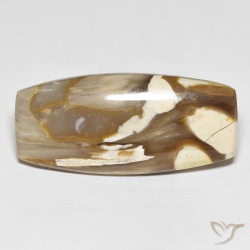 31.21ct Natural Multicolor Peanut Wood, Cushion, Opaque