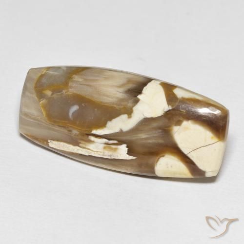 31.21 ct Multicolor Peanut Wood Stone, Natural Peanut Wood in Cushion Cabochon Shape for Sale