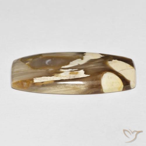 Peanut Wood Gemstone in 37.2 x 17 mm Size for Sale, Peanut Wood Stone in Multicolor Color