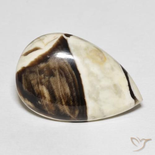 21.16 ct Multicolor Peanut Wood Stone, Natural Peanut Wood in Pear Cabochon Shape for Sale