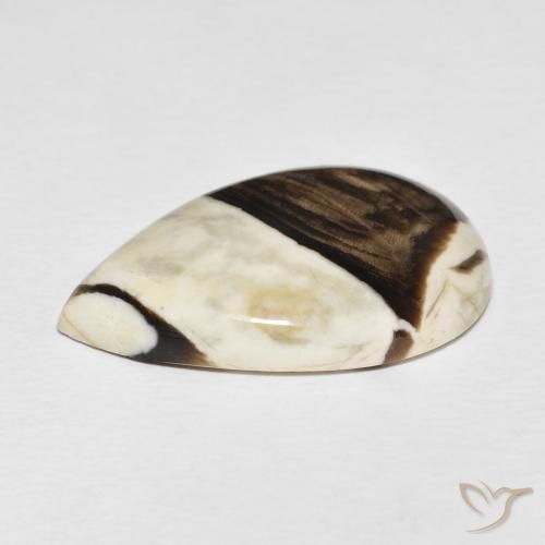 Peanut Wood Gemstone in 28.9 x 19.3 mm Size for Sale, Peanut Wood Stone in Multicolor Color