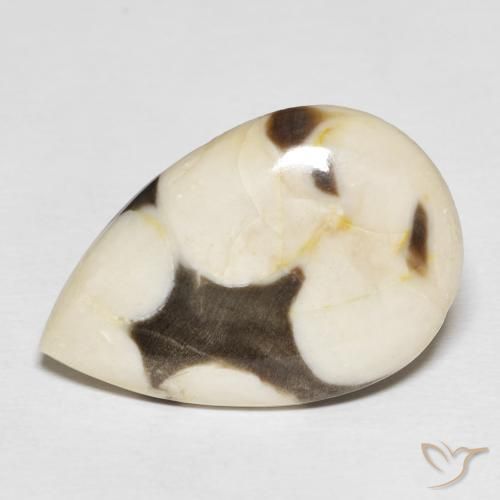 18.51 ct Multicolor Peanut Wood Gemstone, Peanut Wood Gem in Pear Cabochon Shape for Sale.