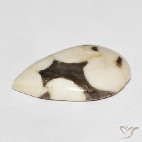Peanut Wood Gemstone in 28.8 x 19.1 mm Size for Sale, Peanut Wood Stone in Multicolor Color
