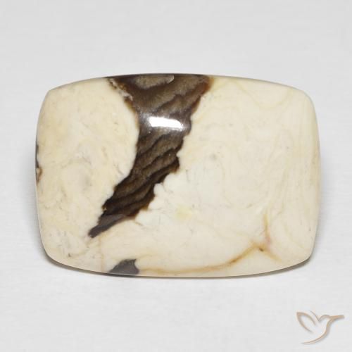 21.18 ct Multicolor Peanut Wood Gemstone, Peanut Wood Gem in Cushion Cabochon Shape for Sale.