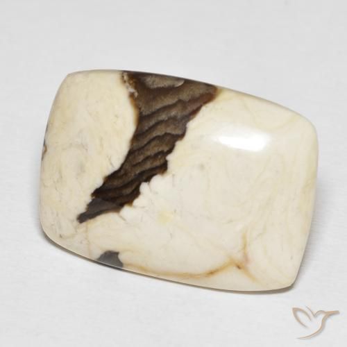 21.18 ct Multicolor Peanut Wood Stone, Natural Peanut Wood in Cushion Cabochon Shape for Sale