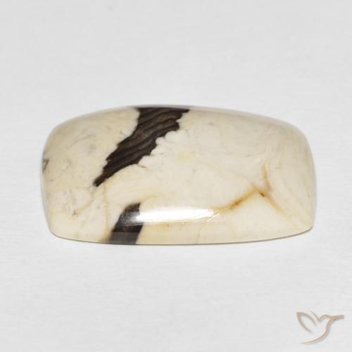 Peanut Wood Gemstone in 26.3 x 19 mm Size for Sale, Peanut Wood Stone in Multicolor Color