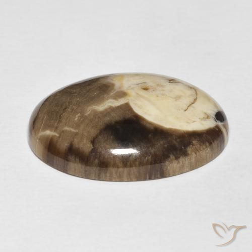 Peanut Wood Gemstone in 25 x 18 mm (calibrated) Size for Sale, Peanut Wood Stone in Multicolor Color