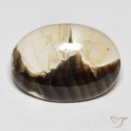 15.62ct Natural Multicolor Peanut Wood, Oval, Opaque