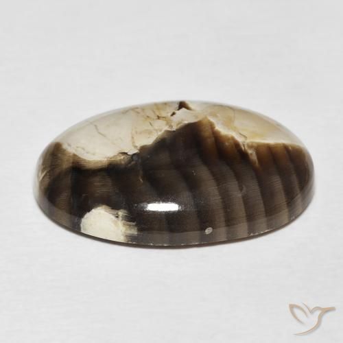 Peanut Wood Gemstone in 22.8 x 16.3 mm Size for Sale, Peanut Wood Stone in Multicolor Color