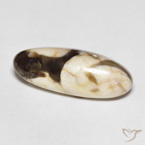 12.85 ct Multicolor Peanut Wood Stone, Natural Peanut Wood in Oval Cabochon Shape for Sale