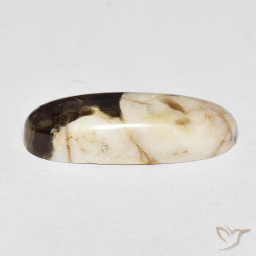 Peanut Wood Gemstone in 26.8 x 10.2 mm Size for Sale, Peanut Wood Stone in Multicolor Color
