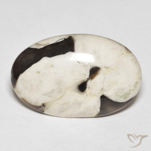 22.29 ct Multicolor Peanut Wood Gemstone, Peanut Wood Gem in Oval Cabochon Shape for Sale.