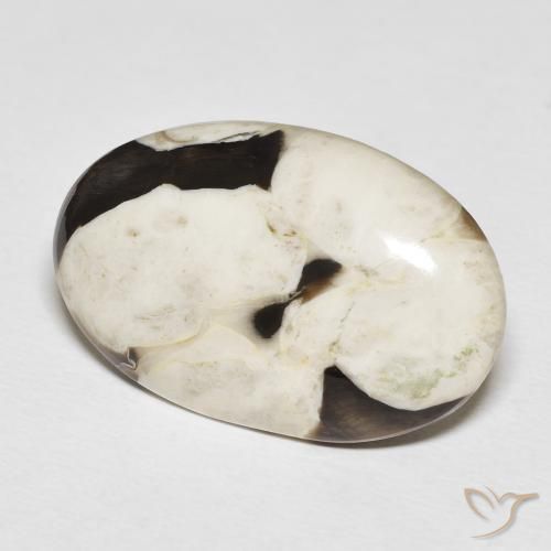 22.29 ct Multicolor Peanut Wood Stone, Natural Peanut Wood in Oval Cabochon Shape for Sale