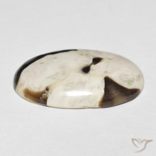 Peanut Wood Gemstone in 29.1 x 18.5 mm Size for Sale, Peanut Wood Stone in Multicolor Color