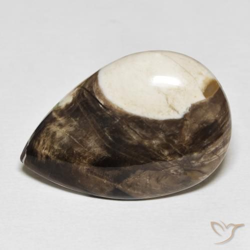 25.19ct Natural Multicolor Peanut Wood, Pear Shape, Opaque