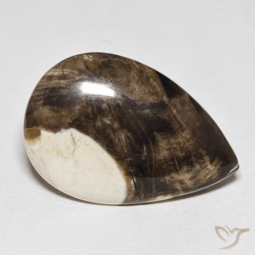 25.19 ct Multicolor Peanut Wood Stone, Natural Peanut Wood in Pear Cabochon Shape for Sale