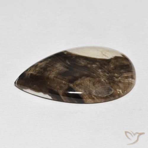 Peanut Wood Gemstone in 31.7 x 21.5 mm Size for Sale, Peanut Wood Stone in Multicolor Color