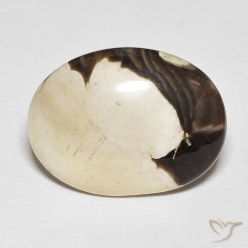 19.54 ct Multicolor Peanut Wood Gemstone, Peanut Wood Gem in Oval Cabochon Shape for Sale.