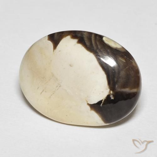 19.54 ct Multicolor Peanut Wood Stone, Natural Peanut Wood in Oval Cabochon Shape for Sale