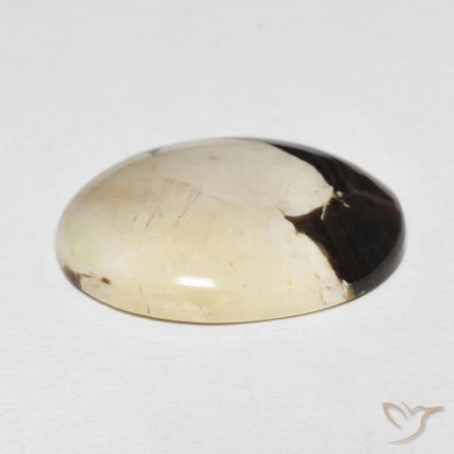 Peanut Wood Gemstone in 25.4 x 19.2 mm Size for Sale, Peanut Wood Stone in Multicolor Color