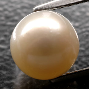 Pearl Gemstone in 7.1 mm Size for Sale, Pearl Stone in Cream Color