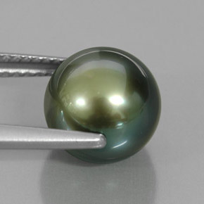 Pearl Gemstone in 9.1 mm Size for Sale, Pearl Stone in Green Color