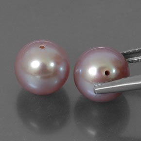 Pearl Gemstone in 7.7 mm Size for Sale, Pearl Stone in Lavender Color