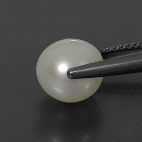 Pearl Gemstone in 8.3 mm Size for Sale, Pearl Stone in Cream Color