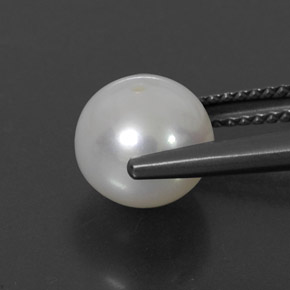 Pearl Gemstone in 8.3 mm Size for Sale, Pearl Stone in Cream Color