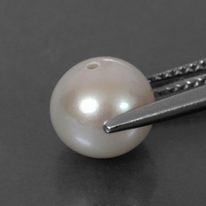 Pearl Gemstone in 8.2 mm Size for Sale, Pearl Stone in Cream Color