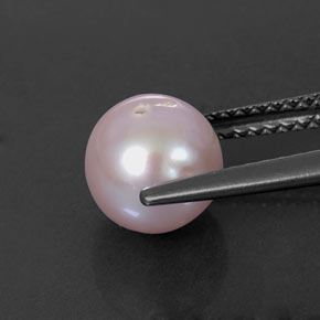 Pearl Gemstone in 7.5 mm Size for Sale, Pearl Stone in Silver Pink Color