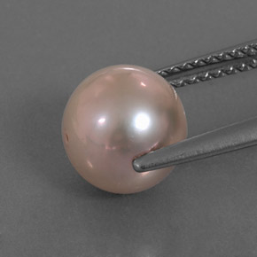 Pearl Gemstone in 8.2 mm Size for Sale, Pearl Stone in Silver Pink Color