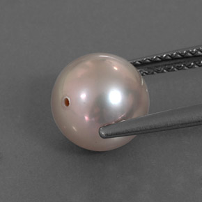 Pearl Gemstone in 7.9 mm Size for Sale, Pearl Stone in Silver Pink Color