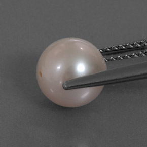 Pearl Gemstone in 7.8 mm Size for Sale, Pearl Stone in Cream Pink Color