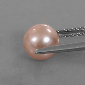 Pearl Gemstone in 7.8 mm Size for Sale, Pearl Stone in Golden Color