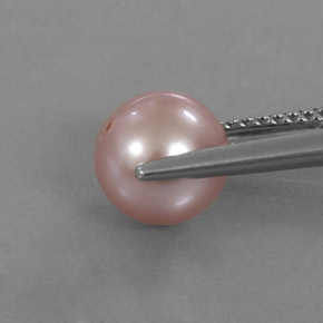 Pearl Gemstone in 7.5 mm Size for Sale, Pearl Stone in Silver Pink Color
