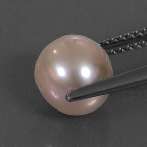 Pearl Gemstone in 7.7 mm Size for Sale, Pearl Stone in Cream Pink Color