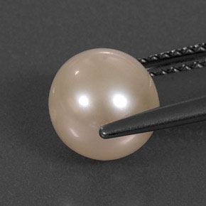 Pearl Gemstone in 7.8 mm Size for Sale, Pearl Stone in Cream Pink Color