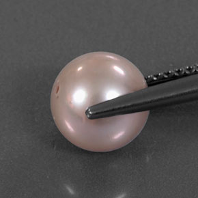 Pearl Gemstone in 7.7 mm Size for Sale, Pearl Stone in Silver Pink Color